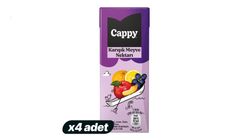 4'lü Cappy Karisik Meyve Suyu 200 ml Paketi