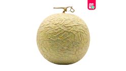 Milagro Mini Melon (1 Piece)