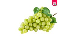 Milagro Seedless White Grape 750 g