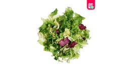 Milagro Akdeniz Yeşilliği 150 g