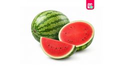 Milagro Mini Watermelon (2–2.5 kg)