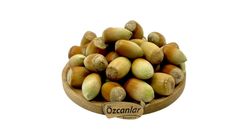 Fresh In-Shell Hazelnuts 100 g