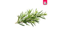 Milagro Rosemary 50 g