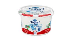 Dost Homojenize Yoğurt 500 g