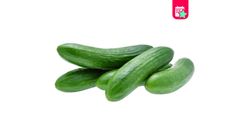 Milagro Salatalık 500 g