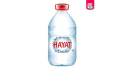 Hayat Doğal Mineralli Su 5 L