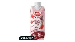 4x Dimes Cool Berry Essence 310 ml Bundle