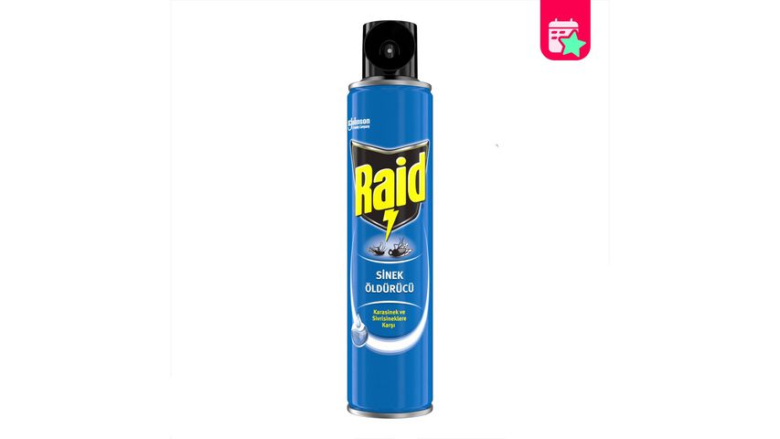 Raid Fly Killer Spray 300 ml