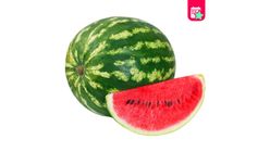 Milagro Watermelon 6 - 8 kg