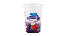 Dost Forest Fruit Yogurt 500 g