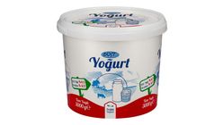 Dost Homojenize Yoğurt 3000 g