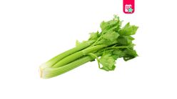 Milagro Kereviz Sapı 1 Adet