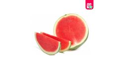 Milagro Seedless Watermelon 4-6 kg