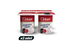 2x Eker Forest Fruits Probiotic Yogurt 4 x 100 g Bundle