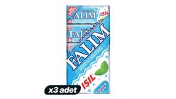 3x Falım Sugar-Free Gum with Baking Soda & Mint Flavor Economy Pack 35 g Bundle