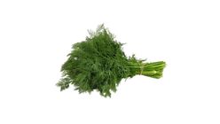 Dill Bunch