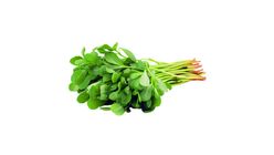 Purslane 1 bunch