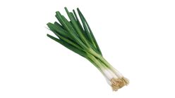 Taze Soğan 1 kg