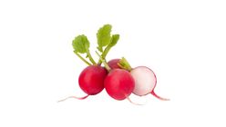 Turp Fındık 1 kg