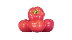 Pembe Domates 1 kg