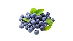 Yaban Mersini 500 g