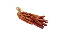Kızıl Dal Darı 1 kg