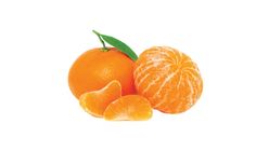 Mandalina 1 kg