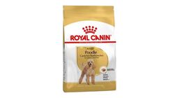Royal Canin Poodle Yetişkin Köpek Maması 3 kg