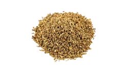 Maydanoz Tohumu 100 g