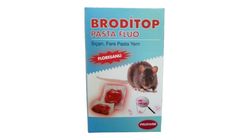 Broditop Pasta Fluo Floresanlı Fare Yemi 100 g