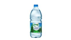 Pınar Pet Şişe Su 1 L