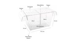 Atlantik İkili Kristal Balık Yavruluk 14.5 x 10 cm