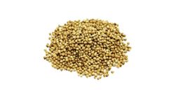 Alizade Tane Kisnis 50 g