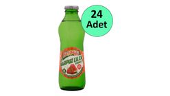 Beypazarı Karpuz & Çilek Aromalı Maden Suyu 24 x 200 ml