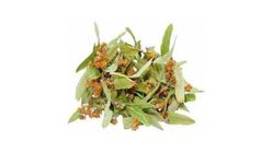 Ihlamur 50 g