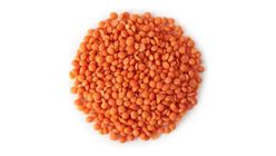 Kırmızı Mercimek 500 g