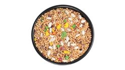 Muhabbet Kusu Dari 1 kg