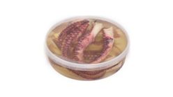 Ahtapot Kolu 100 g