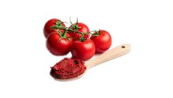 Hatay Domates Salçası 500 g
