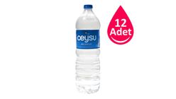 Ceysu Pet Şişe Su 12 x 1.5 L