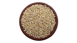 Buğday Kuş Yemi 1 kg