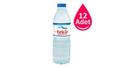 Tekir Pet Şişe Su 12 x 500 ml