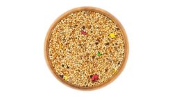 Garden Mix Açık Muhabbet Kuş Yemi 1 kg