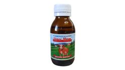 Peynir Mayası 100 g