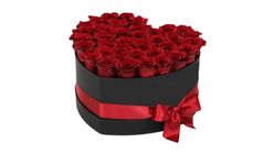 Kalp Kutuda Kırmızı Güller 18 cm