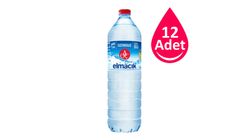 Atatürk Orman Çiftliği Elmacık Pet Şişe Su 12 x 1.5 L