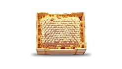 Erzincan Petekli Bal Kucuk Tabak 250 g