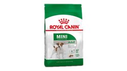 Royal Canin Mini Adult Küçük Irk Yetişkin Köpek Maması 2 kg