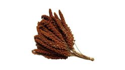 Kızıl Dal Darı 100 g