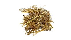Melek Otu 40 g